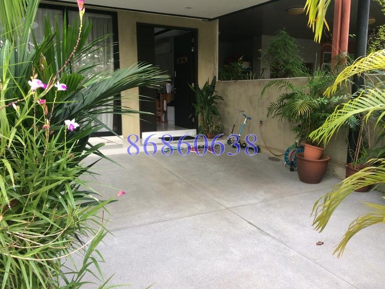 Serangoon Garden Estate (D19), Terrace #171133952